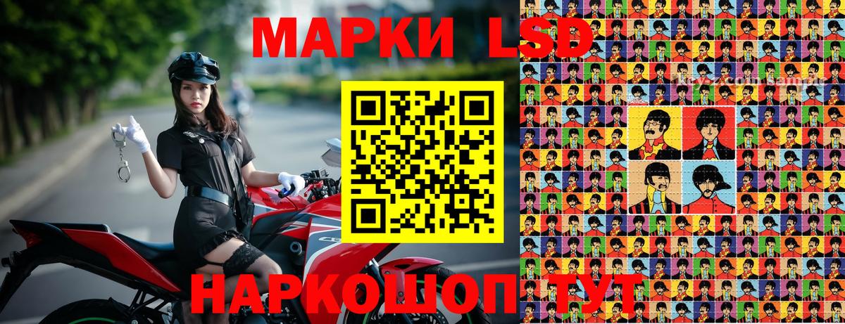 Кимовск  Наркотические марки 1500мкг  Вход с VPN  Наркотические марки 1500мкг 