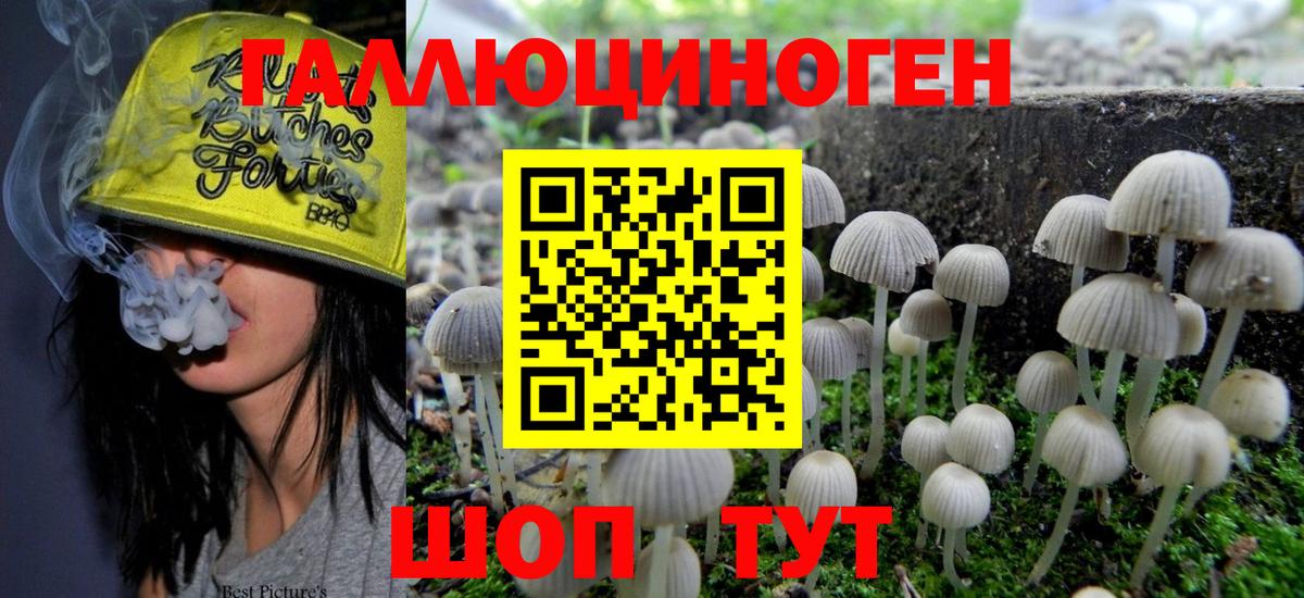 Псилоцибиновые грибы Magic Shrooms Кимовск