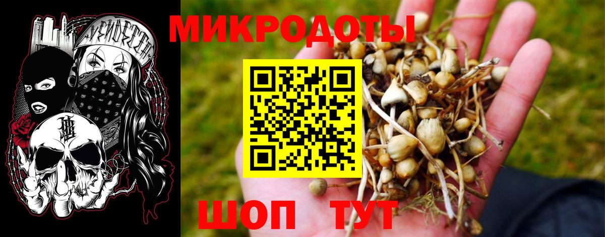 Псилоцибиновые грибы MAGIC MUSHROOMS  Вход с VPN  Кимовск 
