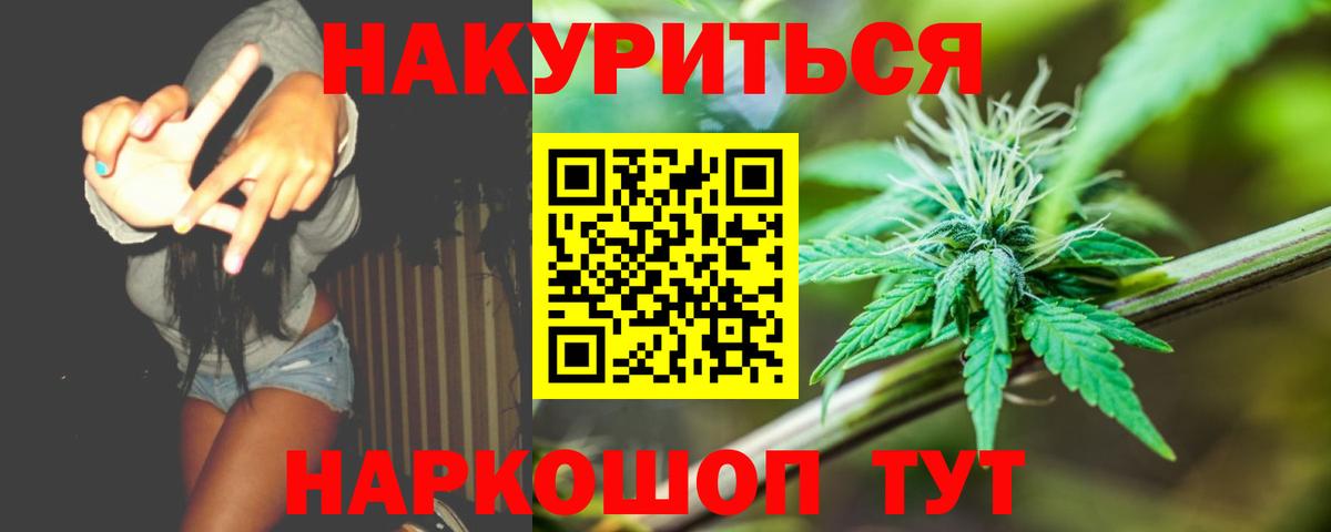 Каннабис сатива Кимовск